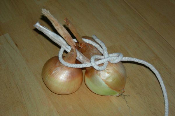 Kraken istand onion