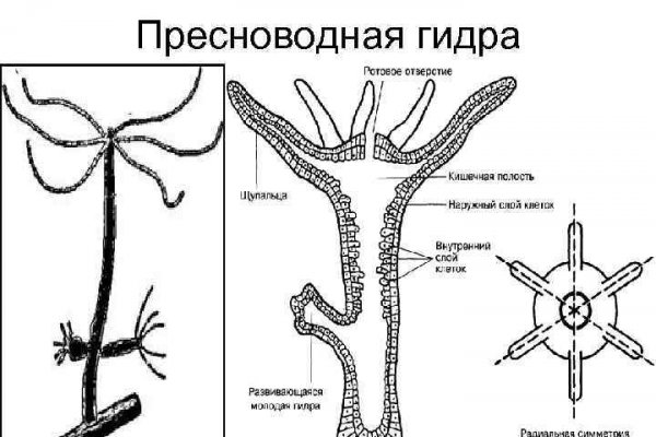 Кракен дарк ссылка